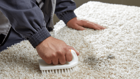 Professional Rug Cleaning Clayton